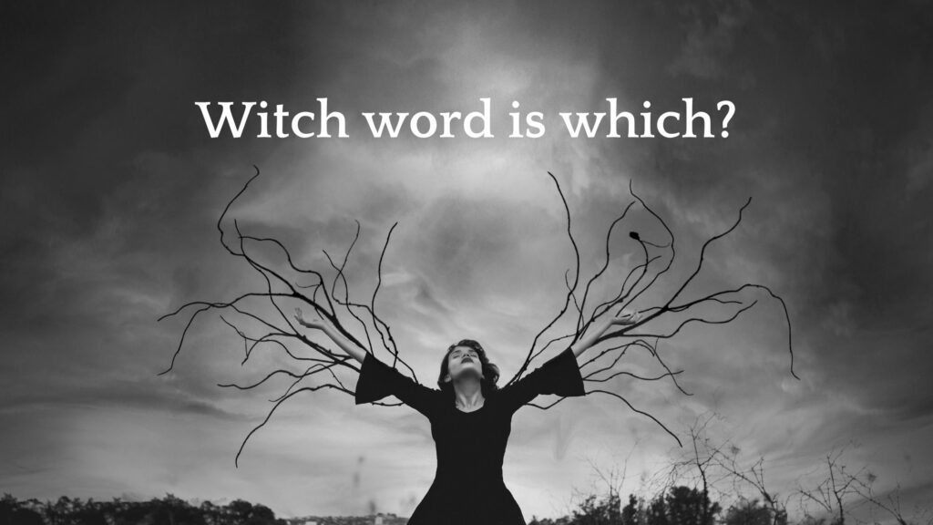 Witch word is which? Easy-to-mix-up vocab
